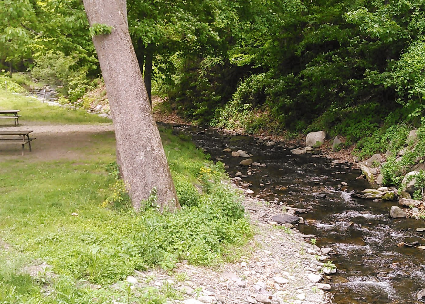 River Beach Campsites Ord Pa 18337 River Beach Campsites Ord Pa 18337