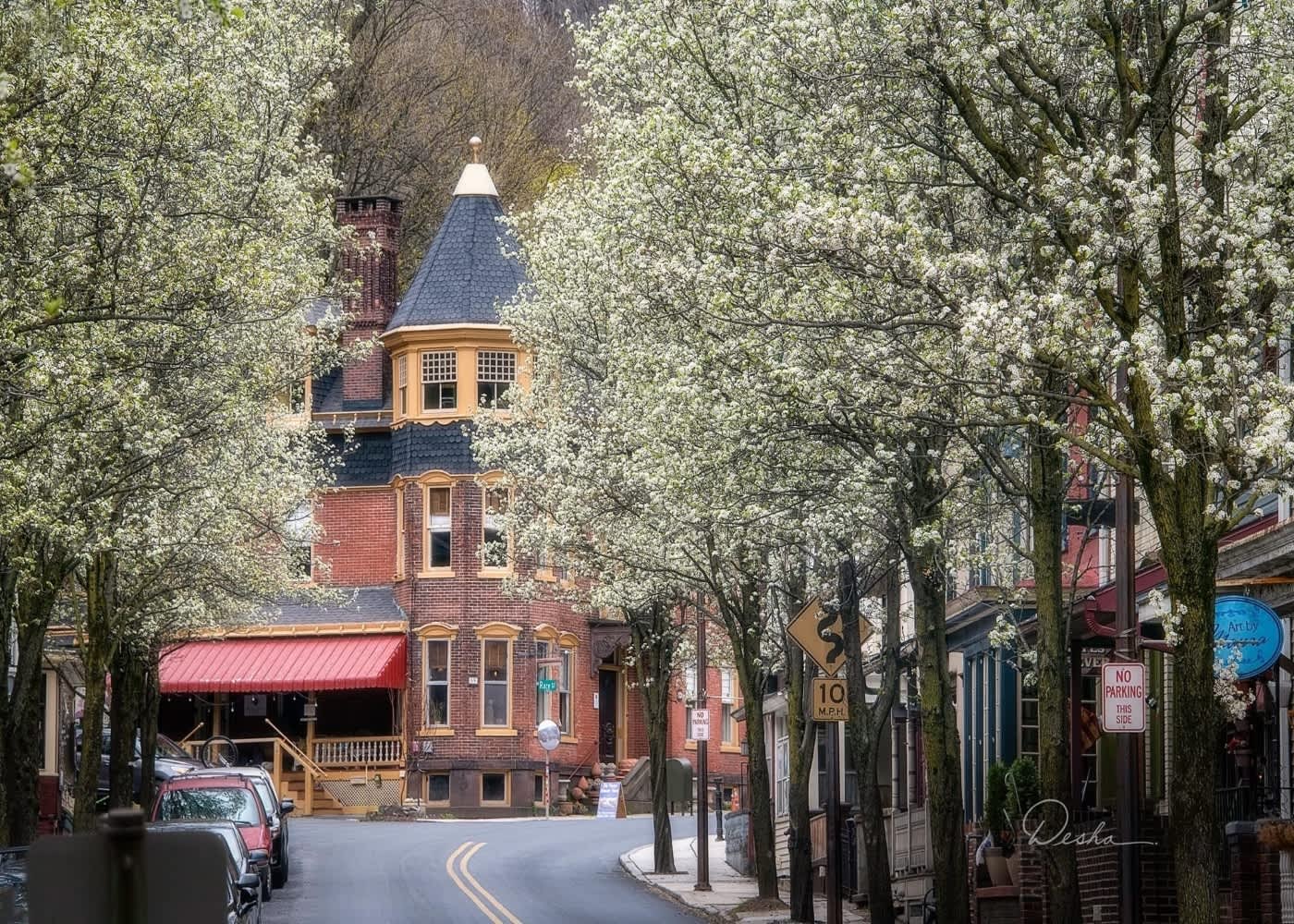 The Dolon House Jim Thorpe Pa 18229