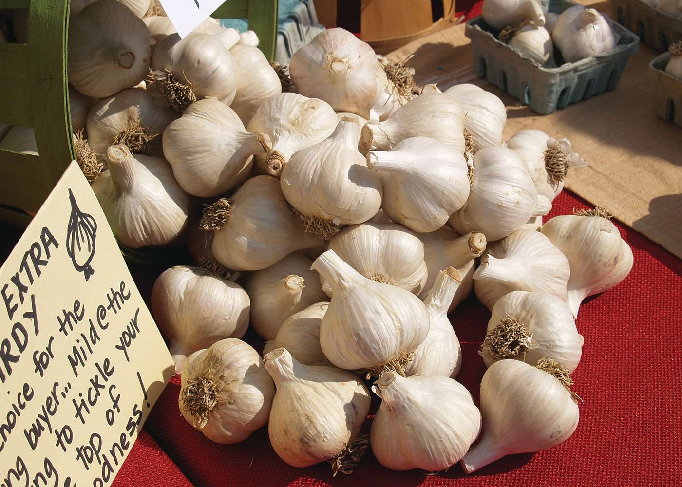 Elephant Garlic Festival 2022