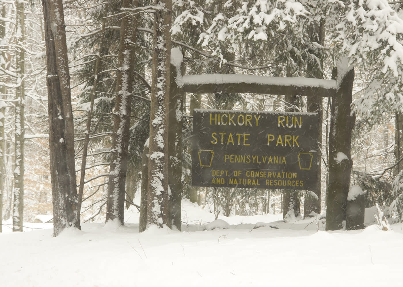 Hickory Run State Park Hunting White Haven Pa 18661