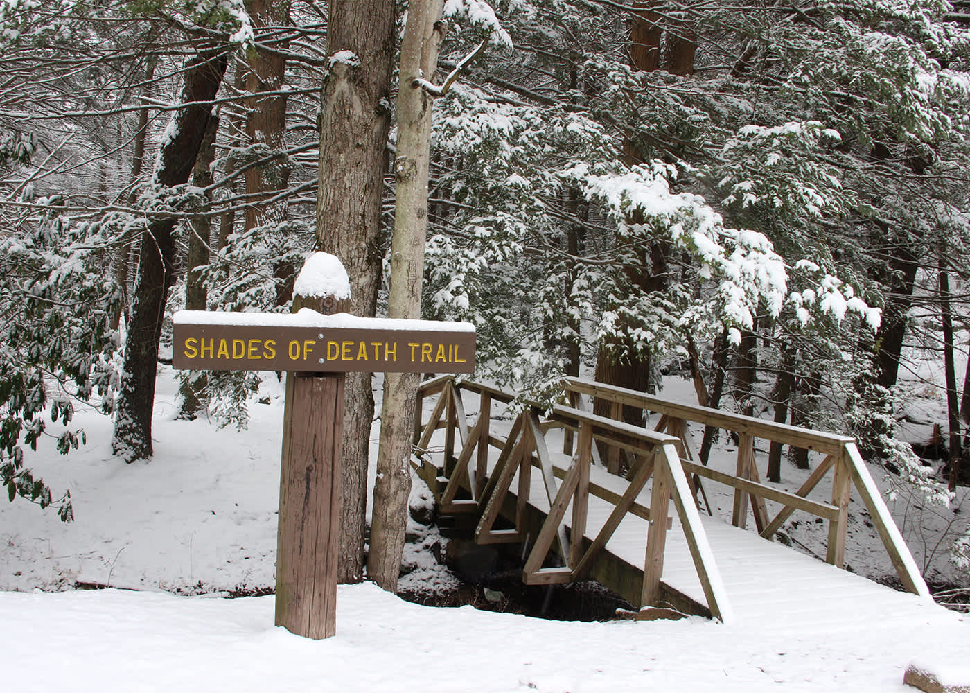 Hickory Run State Park Cross Country Skiing White Haven Pa 18661