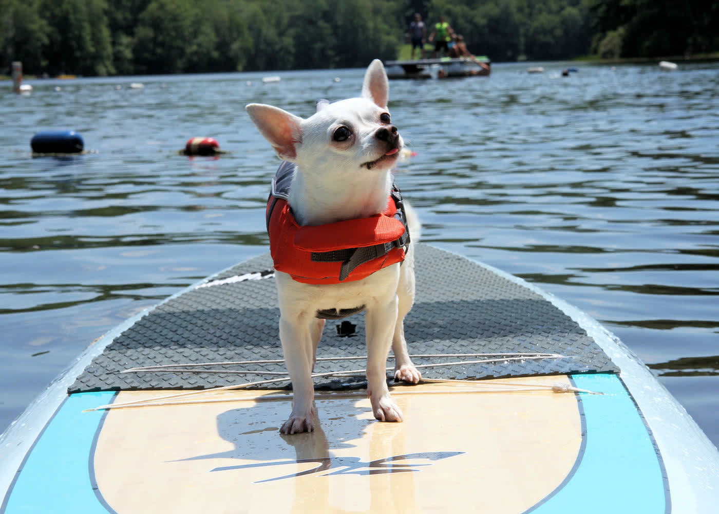 Keen Lake Camping Cottage Resort Waymart Pa 18472