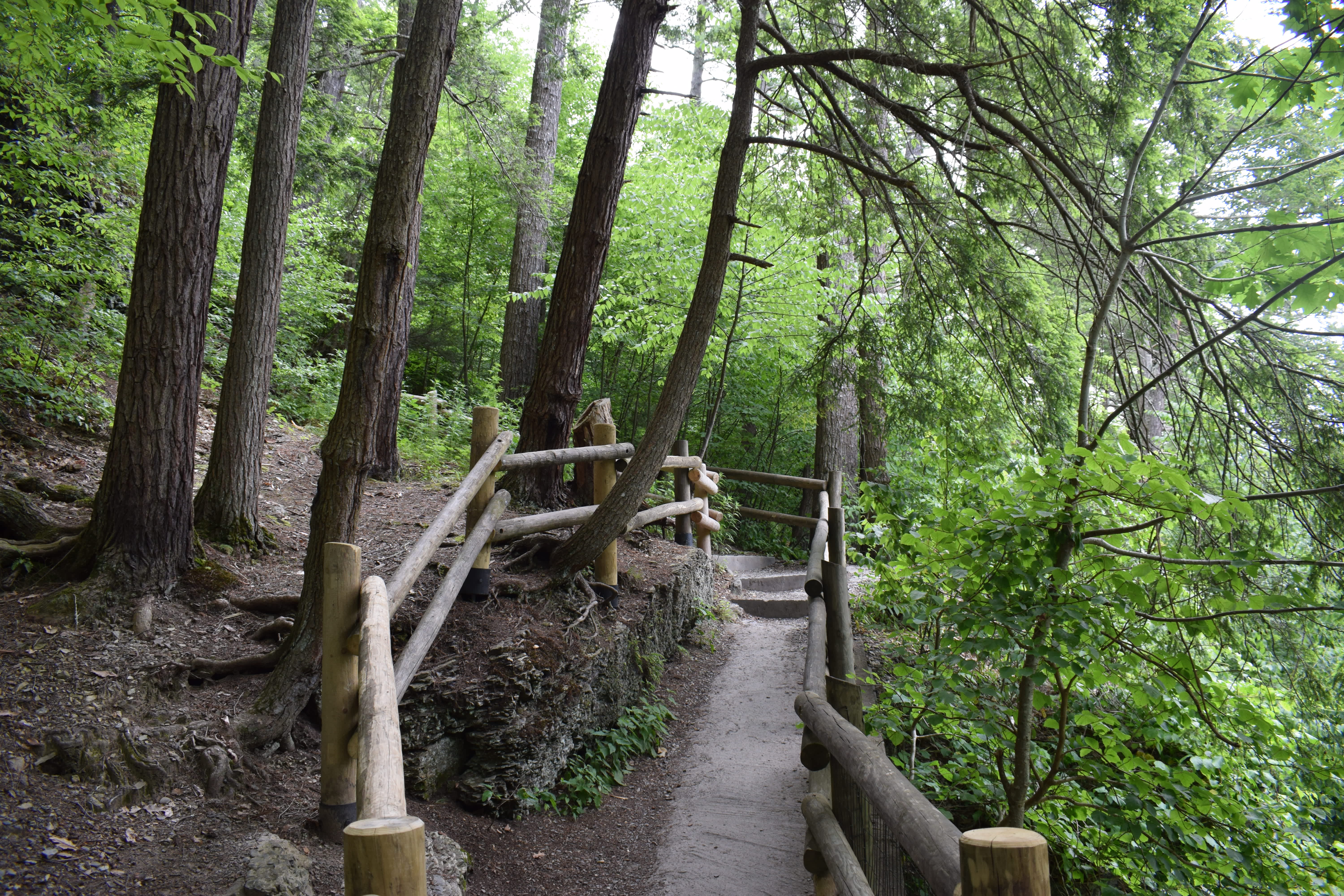 Delaware Water Gap Hiking Trails