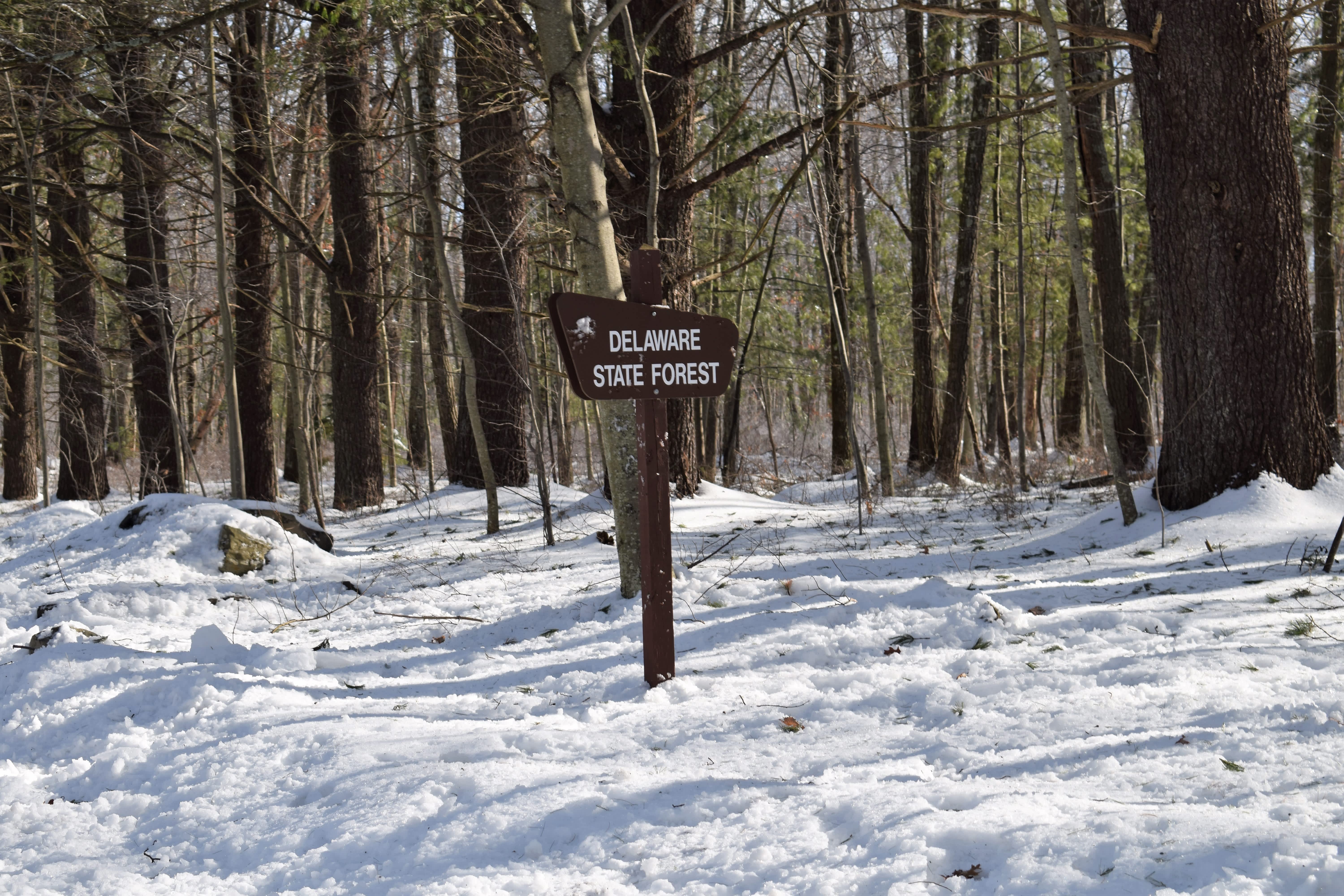 Delaware State Forest Snowmobiling Dingmans Ferry Pa 18328