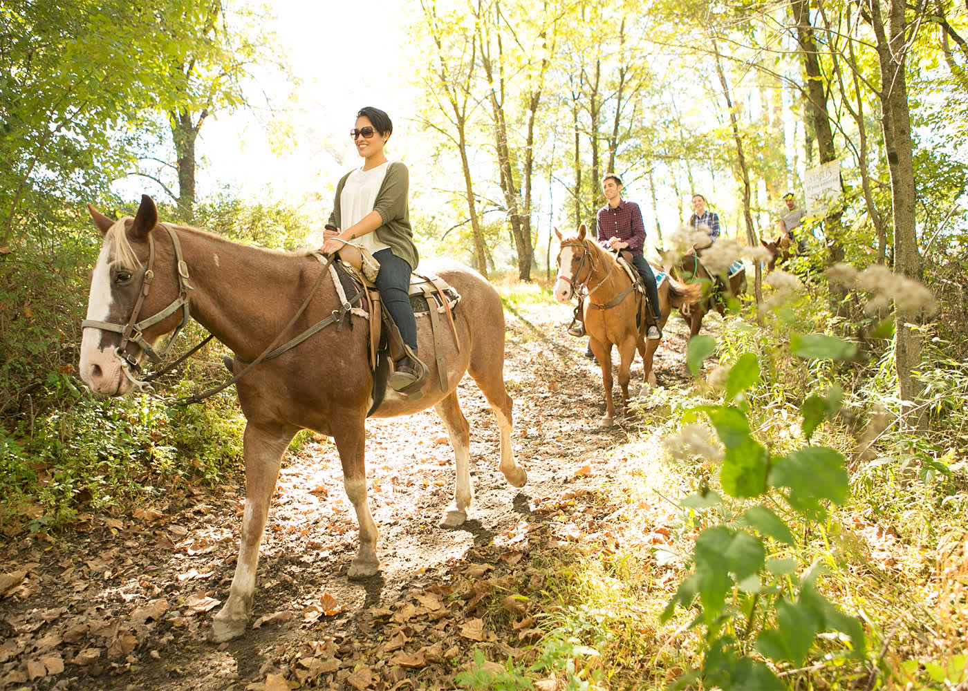 Pocono Mountain Villas Horseback Riding East Stroudsburg Pa 18302