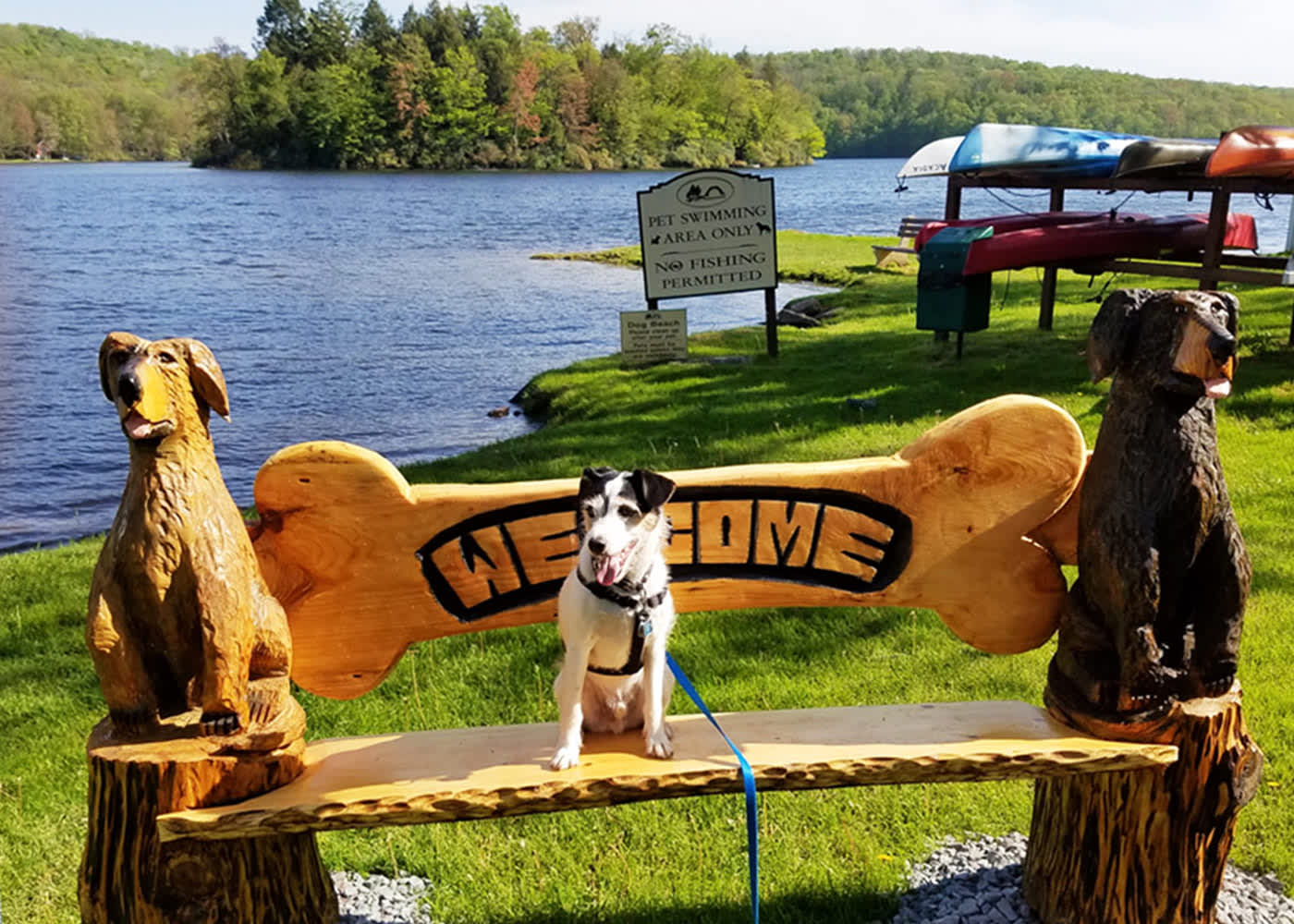 Keen Lake Camping Cottage Resort Waymart Pa 18472
