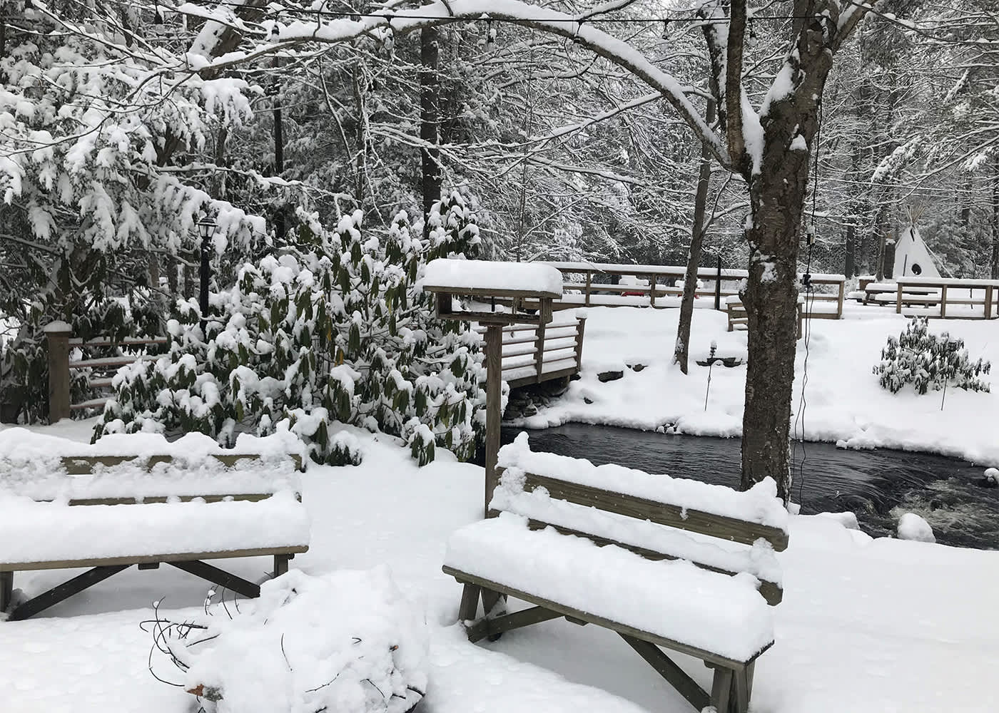 Magnolia Streamside Resort Canadensis Pa 18325