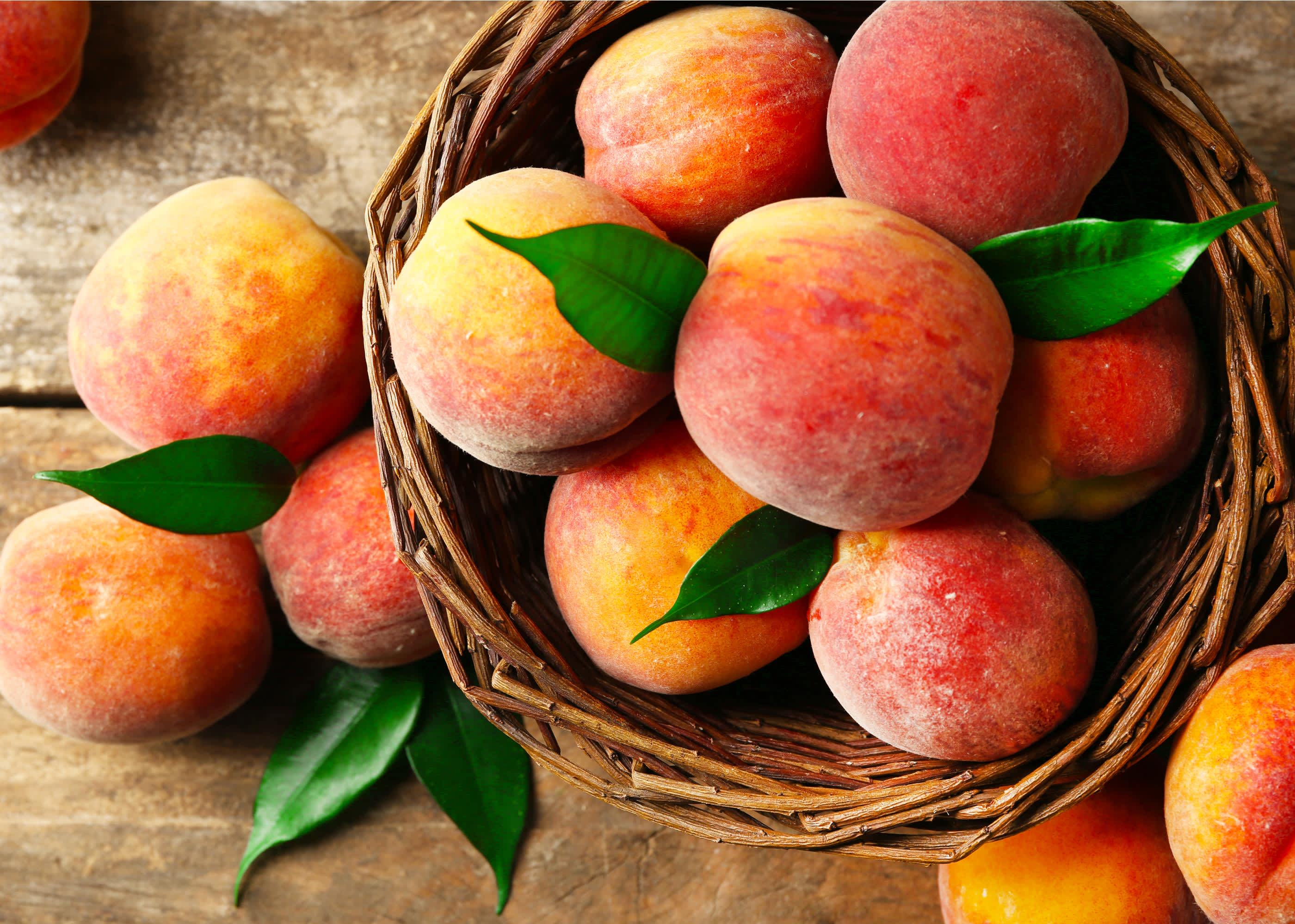 Peach Celebration Lehighton Pa 18235