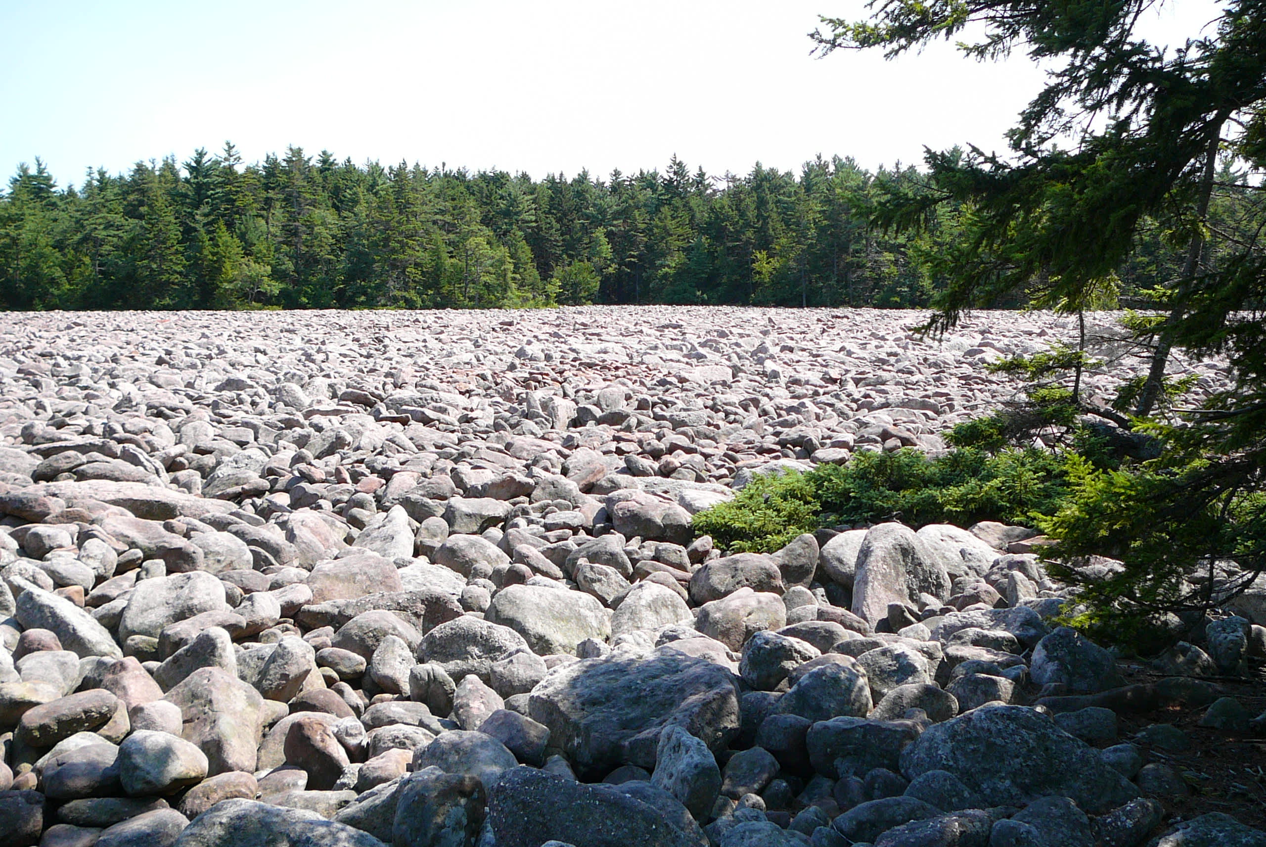 Hickory Run State Park Boulder Field White Haven Pa 18661
