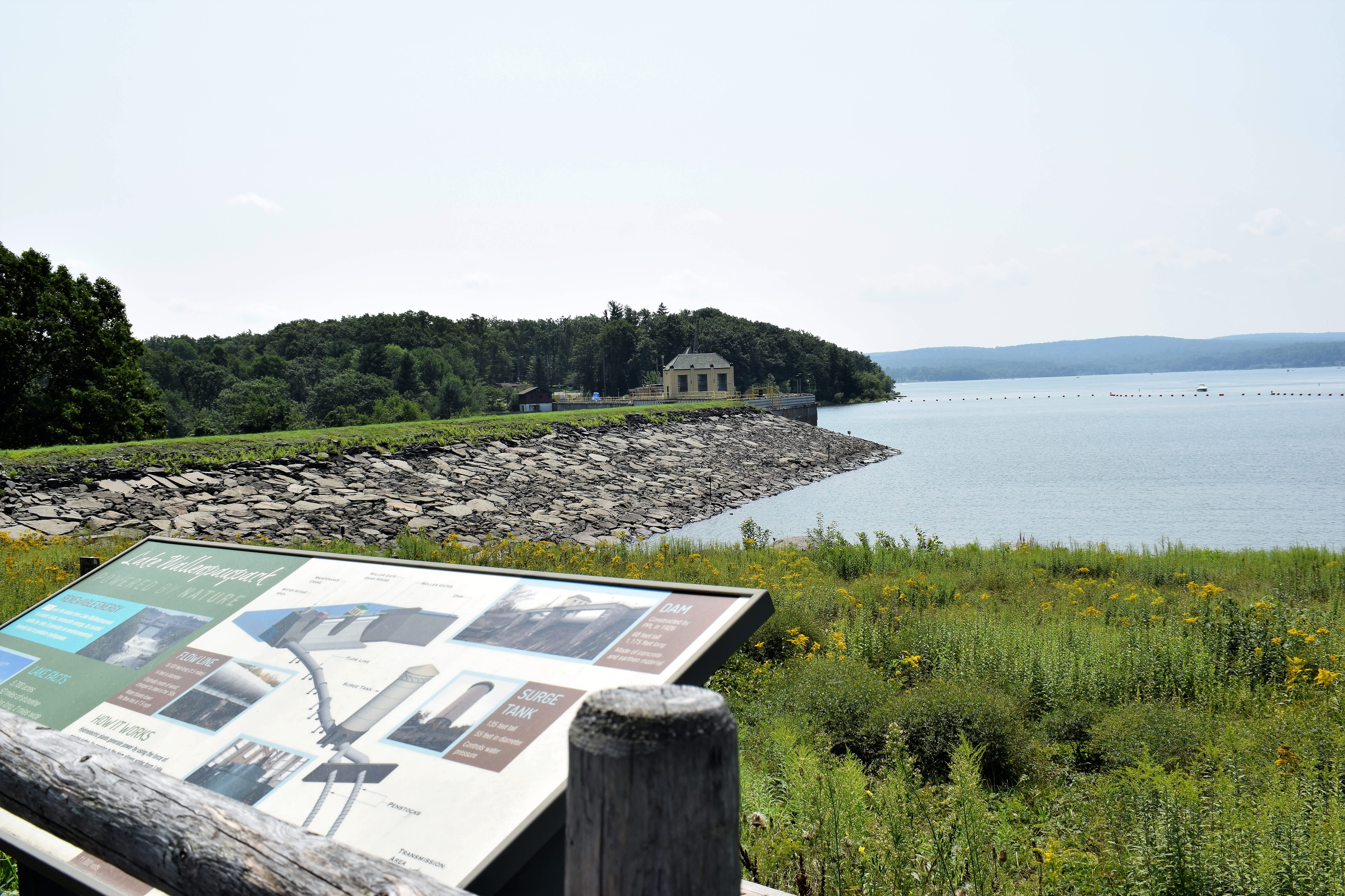 Wallenpaupack Lake Trail Hiking Hawley Pa 18428