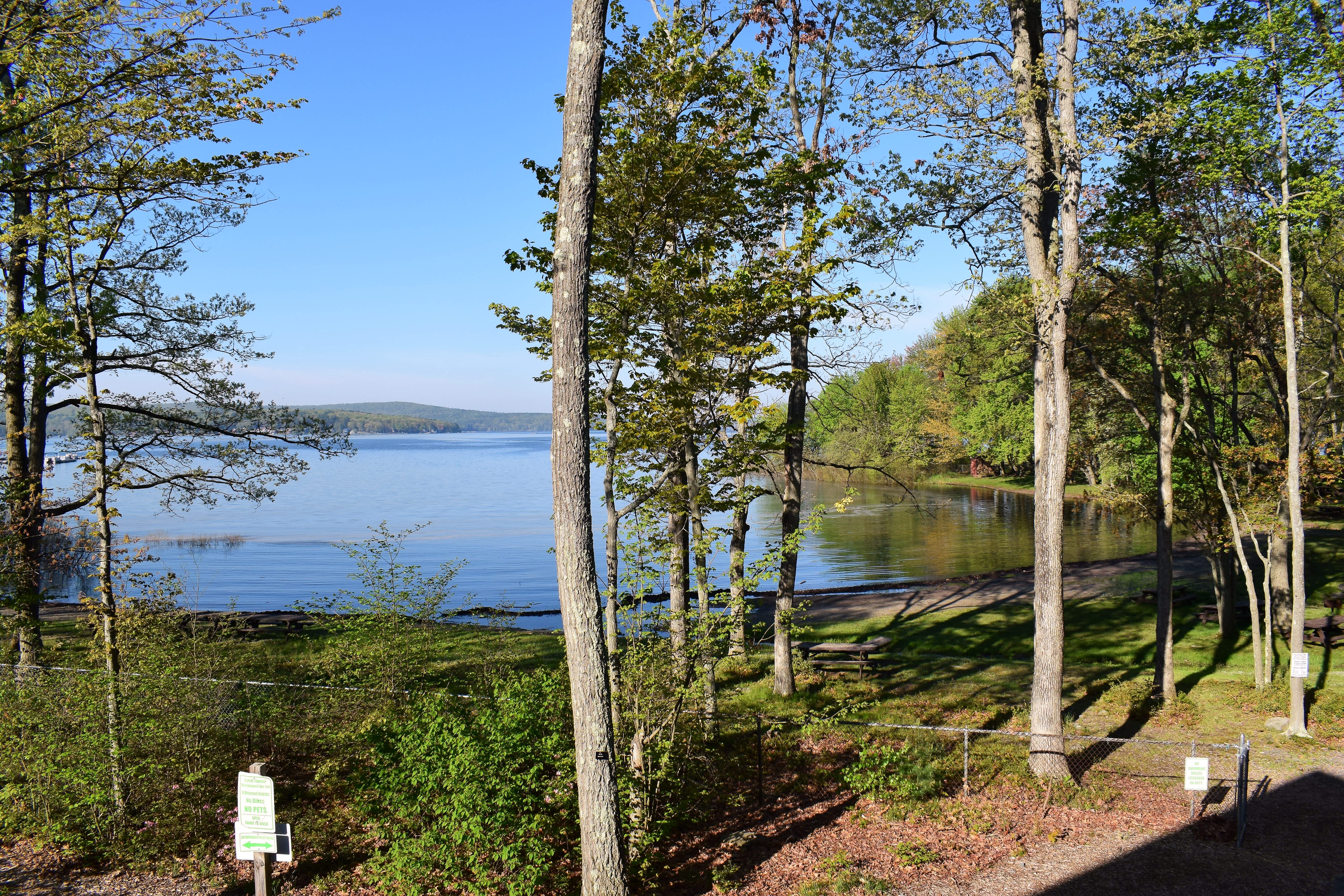 Wallenpaupack Lake Trail Hiking Hawley Pa 18428