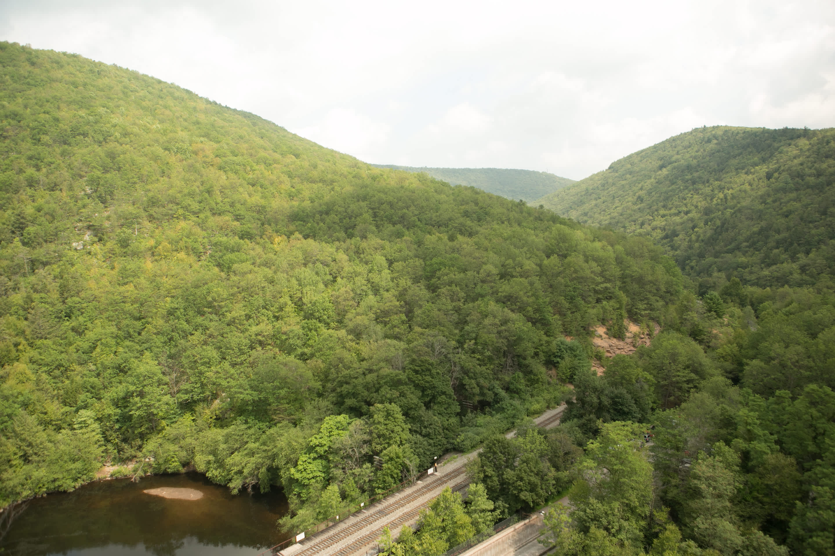 Lehigh Gorge State Park Hunting Weatherly Pa 18255