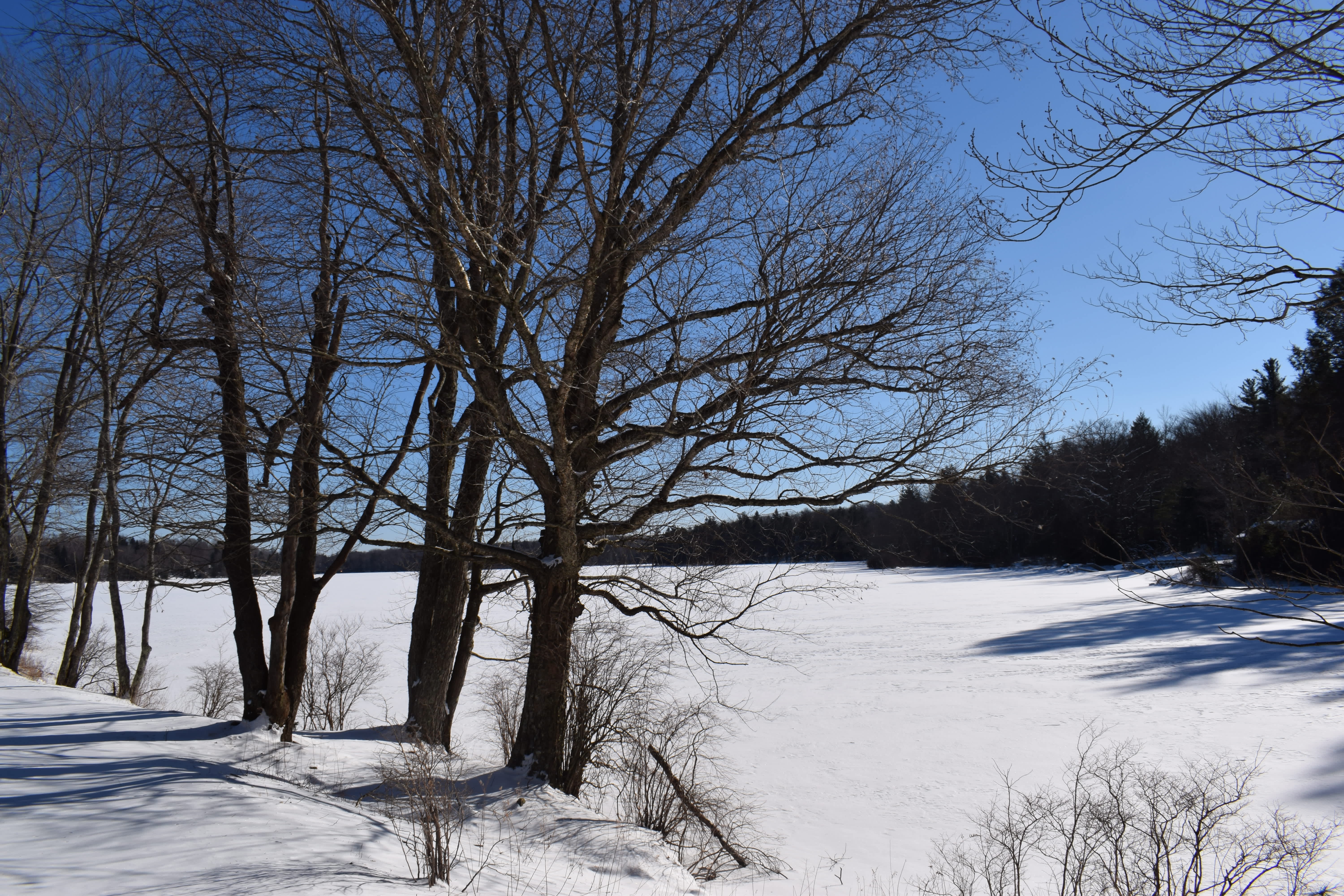 Promised Land State Park Greentown Pa 18426