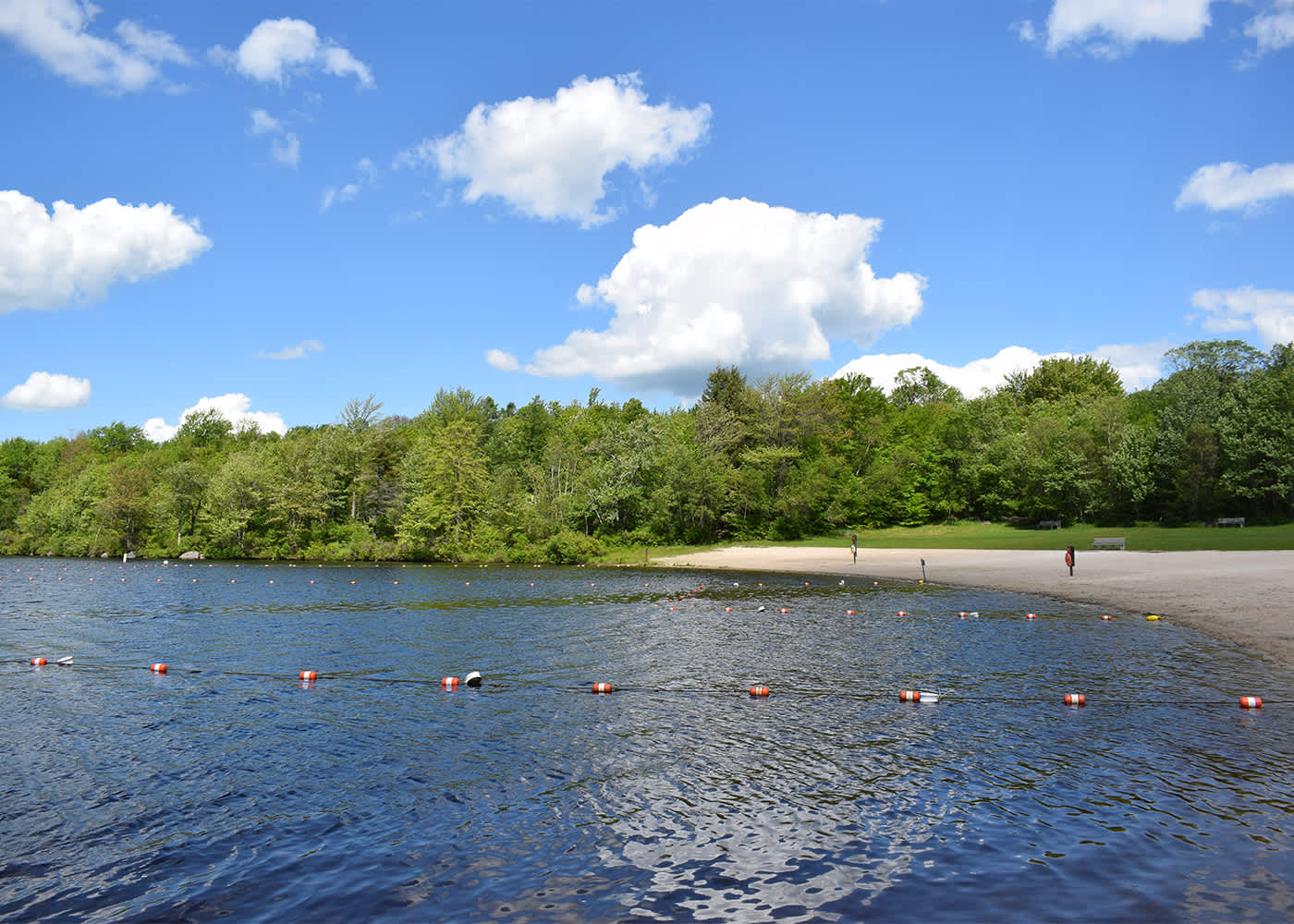 Tobyhanna State Park Beach Tobyhanna Pa 18466