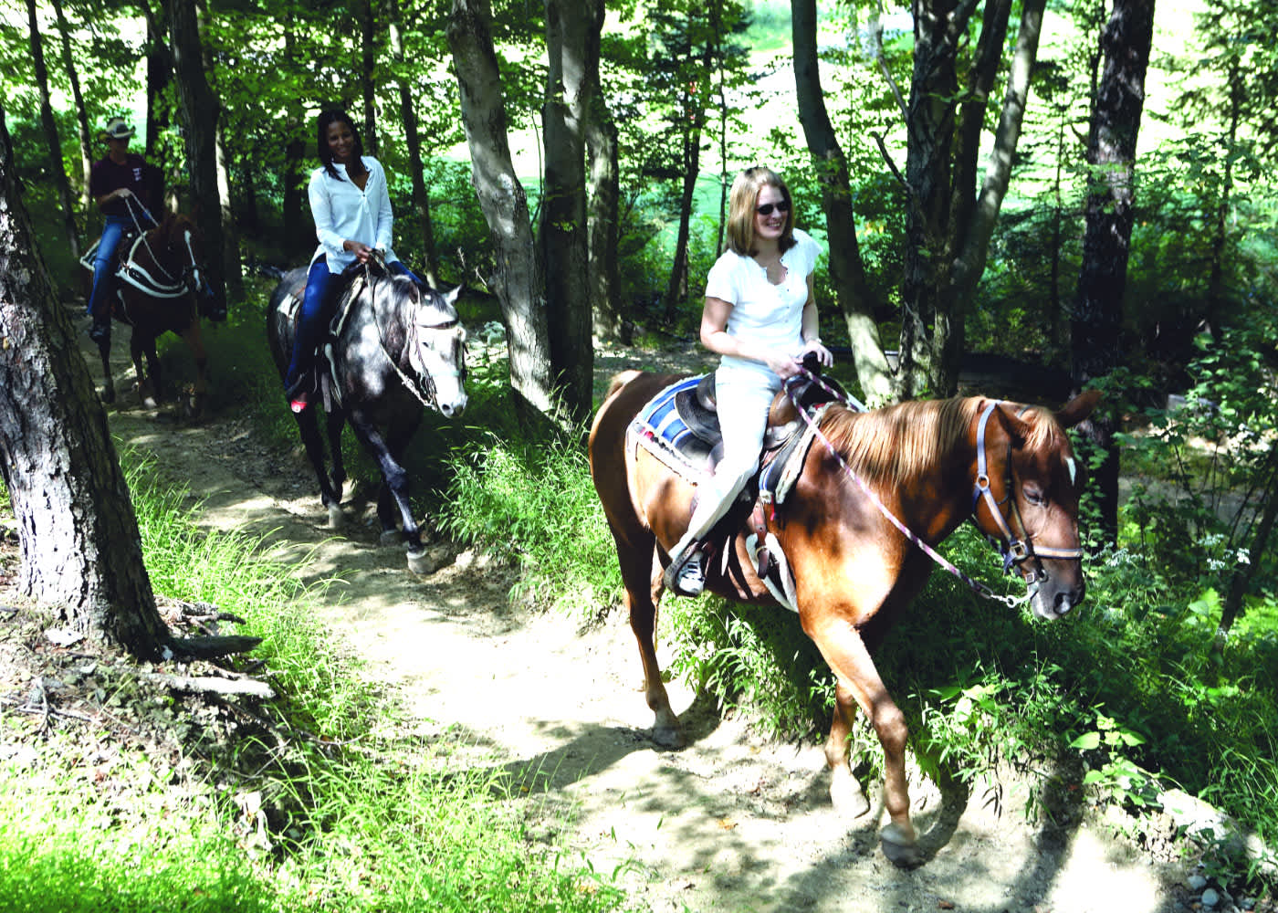 Pocono Mountain Villas Horseback Riding East Stroudsburg Pa 18302