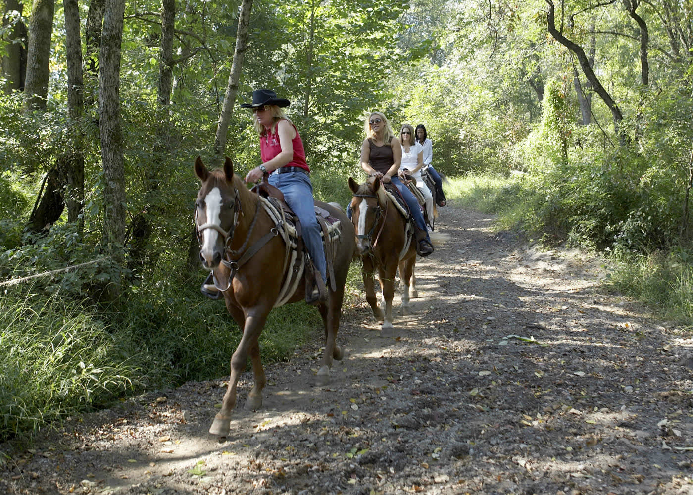 Pocono Mountain Villas Horseback Riding East Stroudsburg Pa 18302
