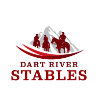 new logo