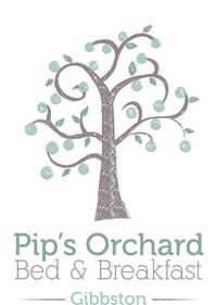 Pip logo