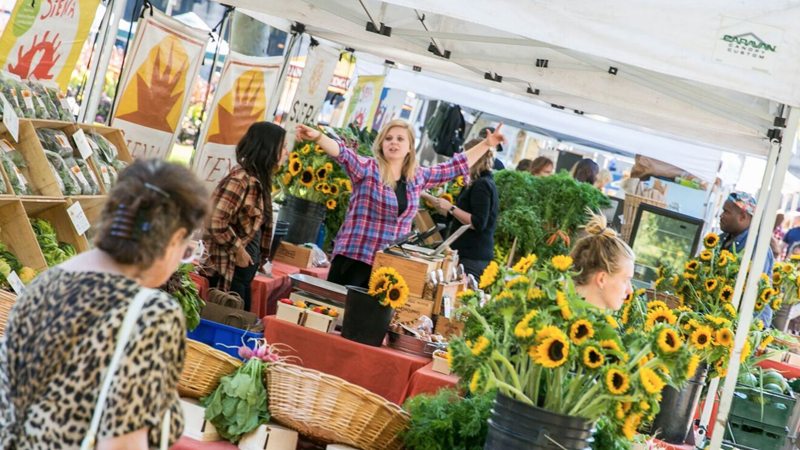 Copley Square Farmer S Market