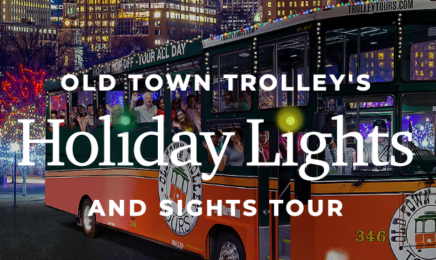 Holiday Lights And Sights Tour