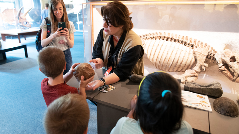 Passport To Savings Harvard Museum Of Natural History