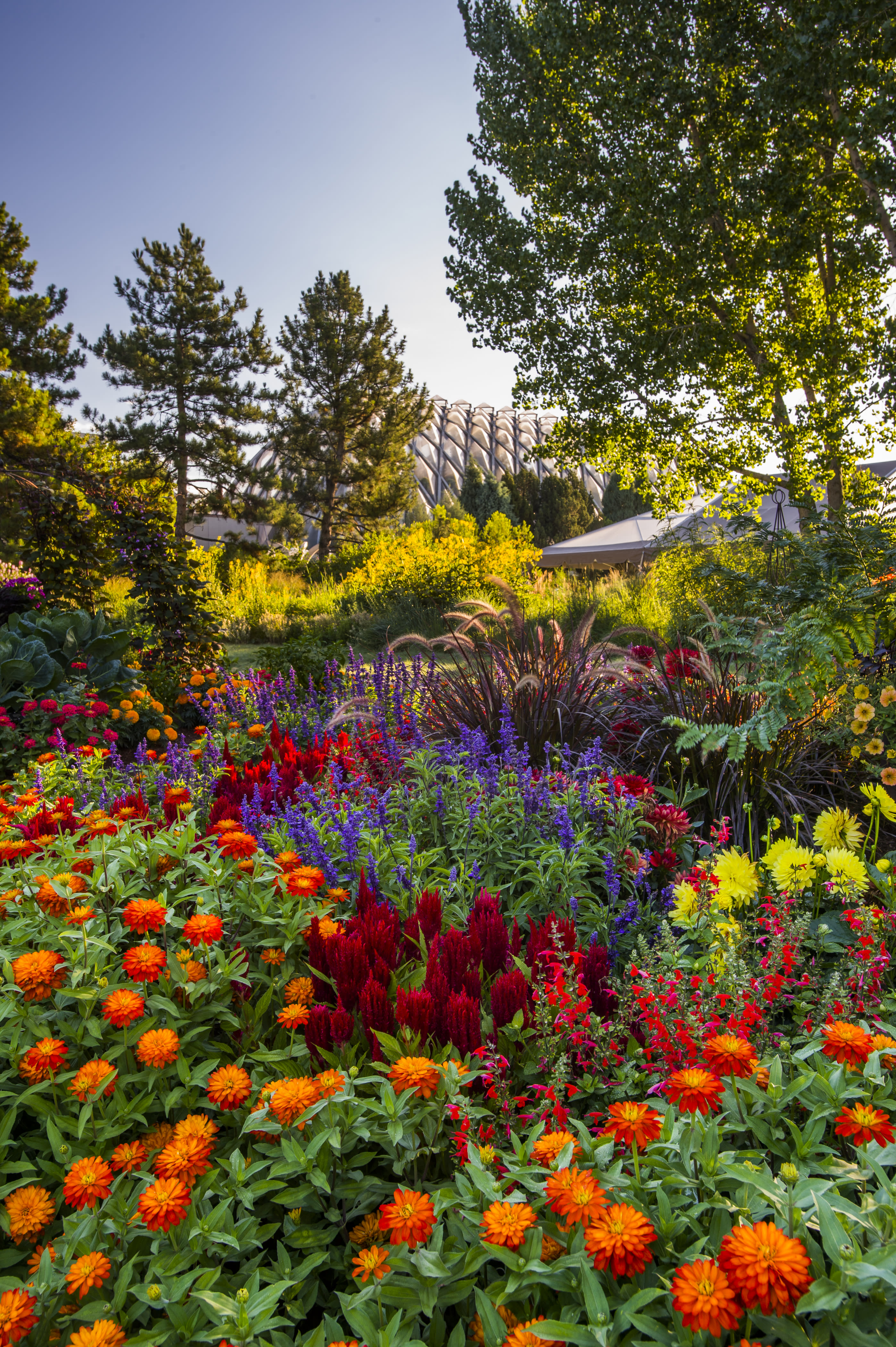 Denver Botanic Gardens Free Day
