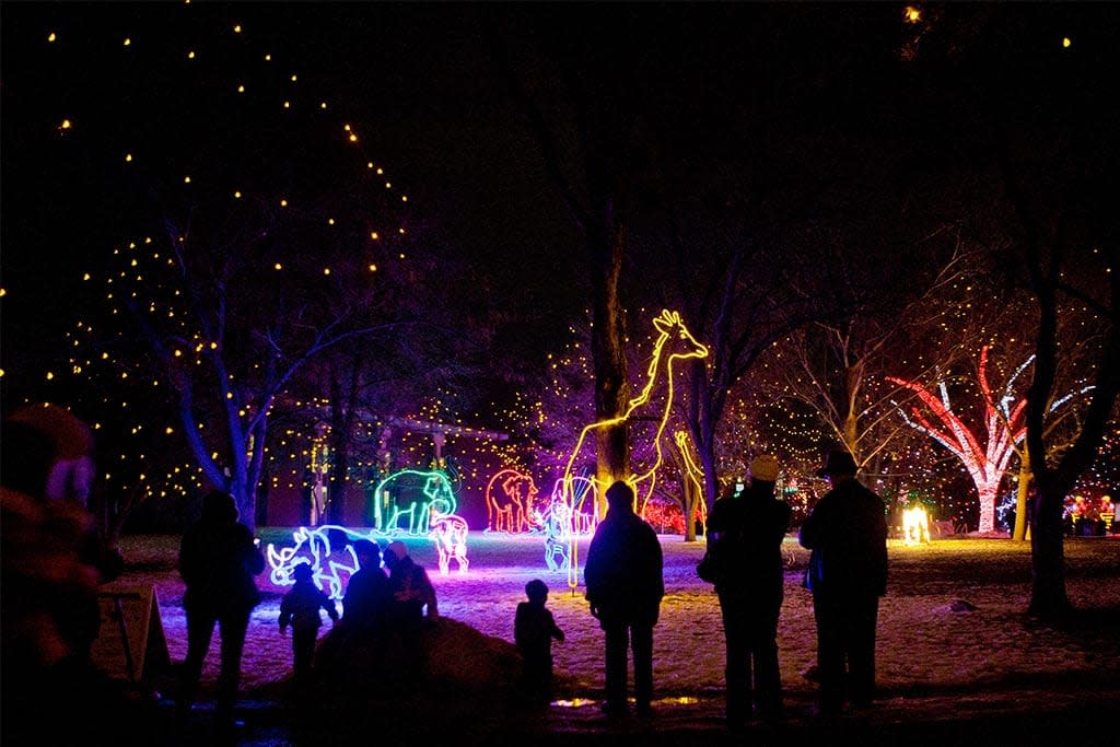 Zoo Lights Denver Co 80205
