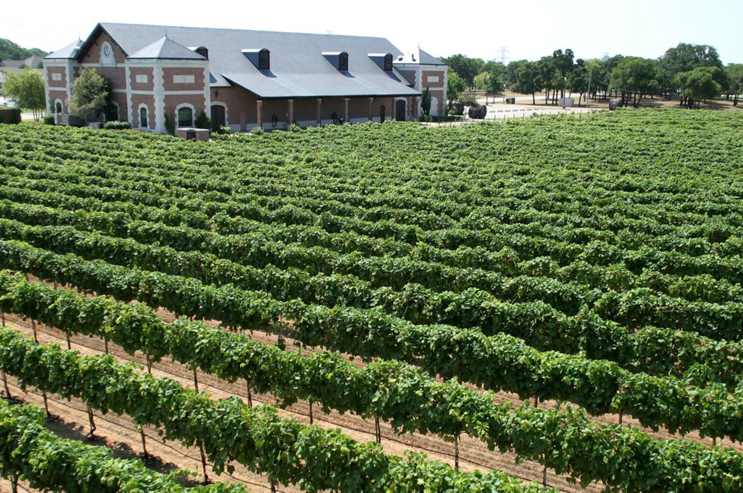 Delaney Vineyards Winery