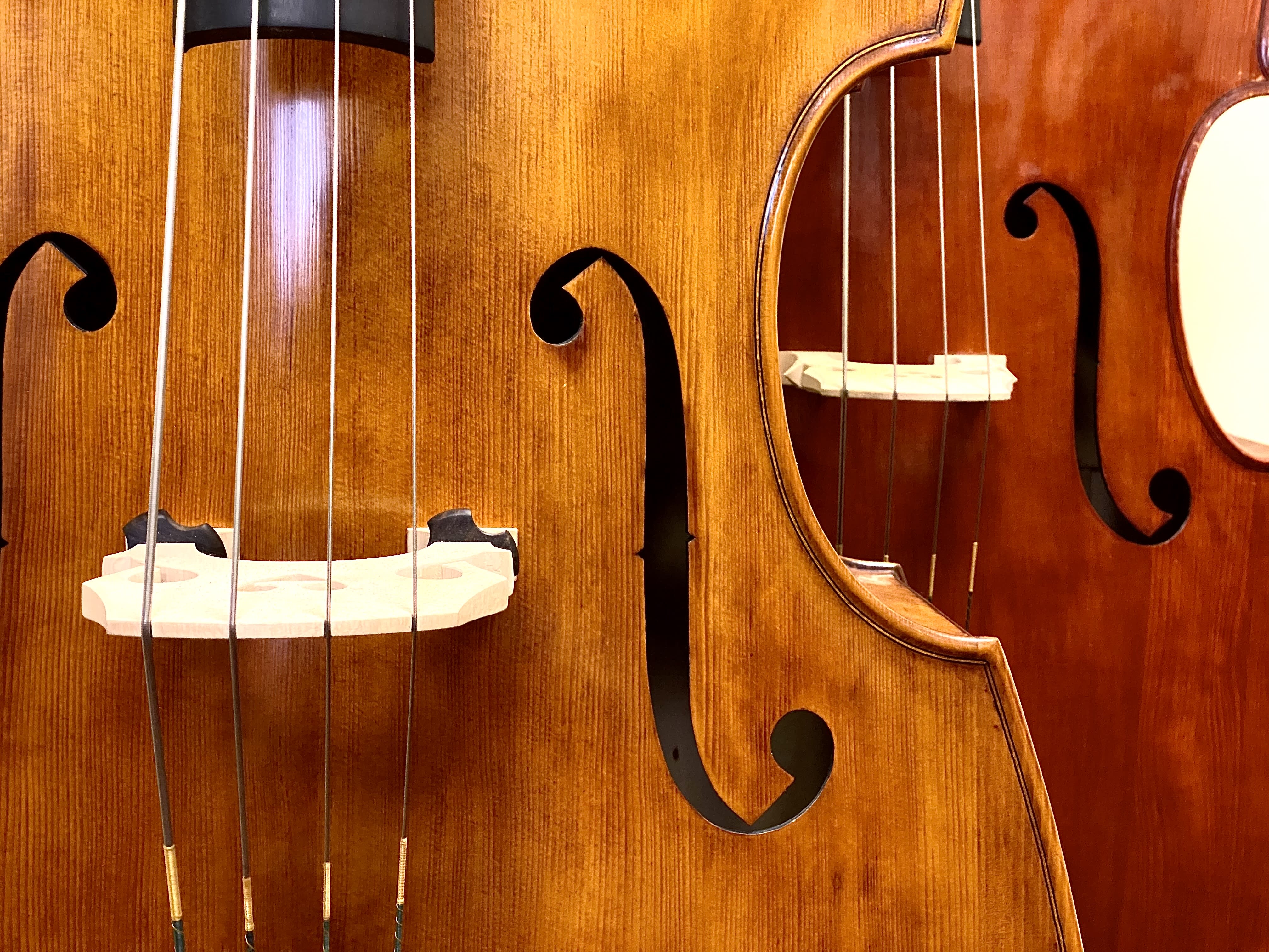 Bernhardt House of Violins