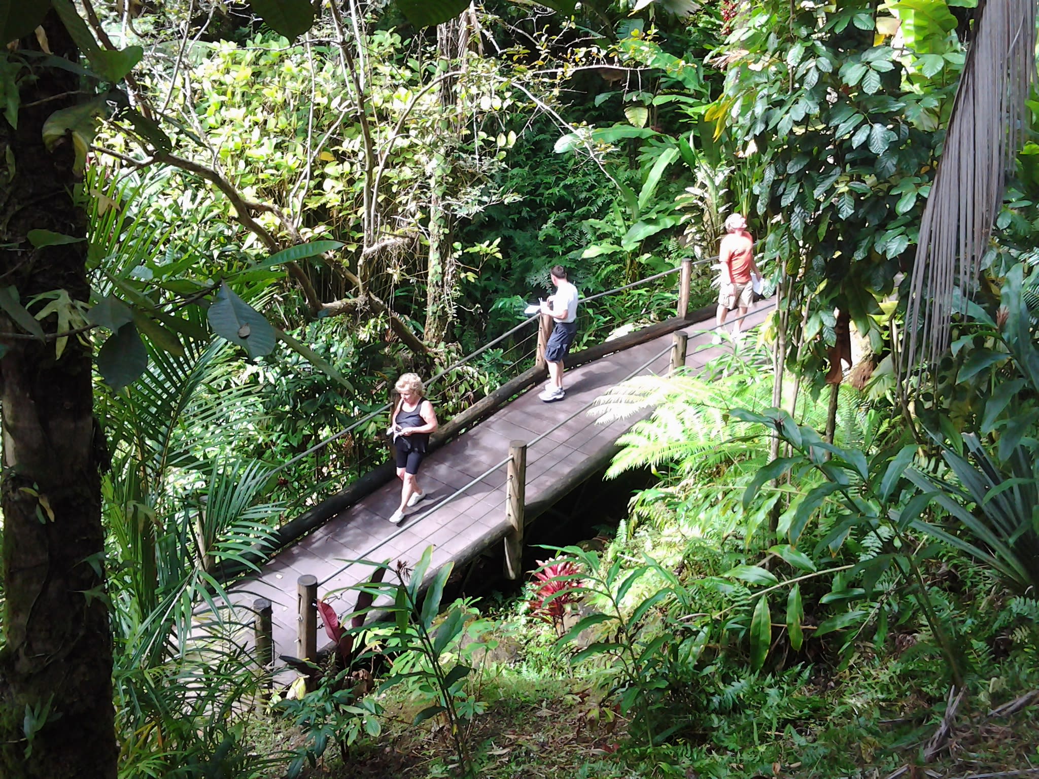 Hawaii Tropical Botanical Garden