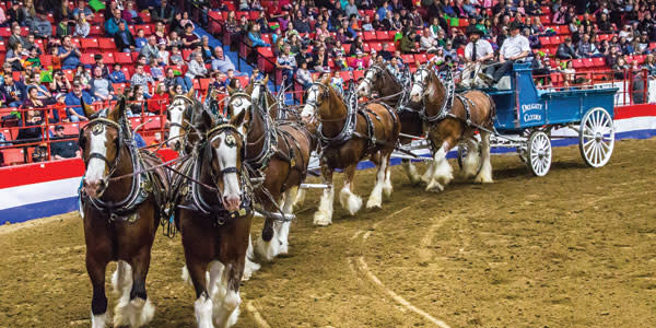 Royal Manitoba Winter Fair