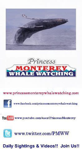 Princess Monterey Whale Watching