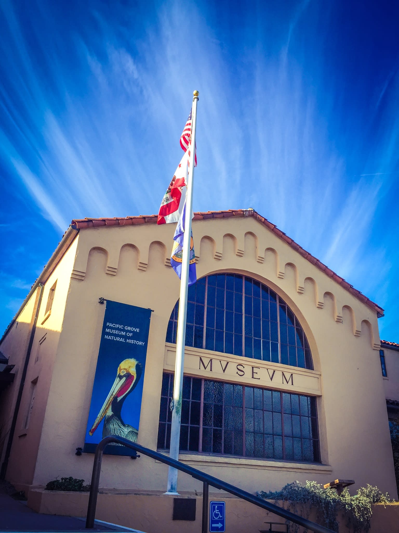 Pacific Grove Museum Of Natural History Review