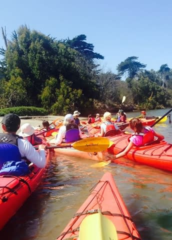 Kayak Connection