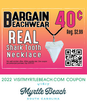 Bargain Beachwear - REAL Shark Tooth Necklace