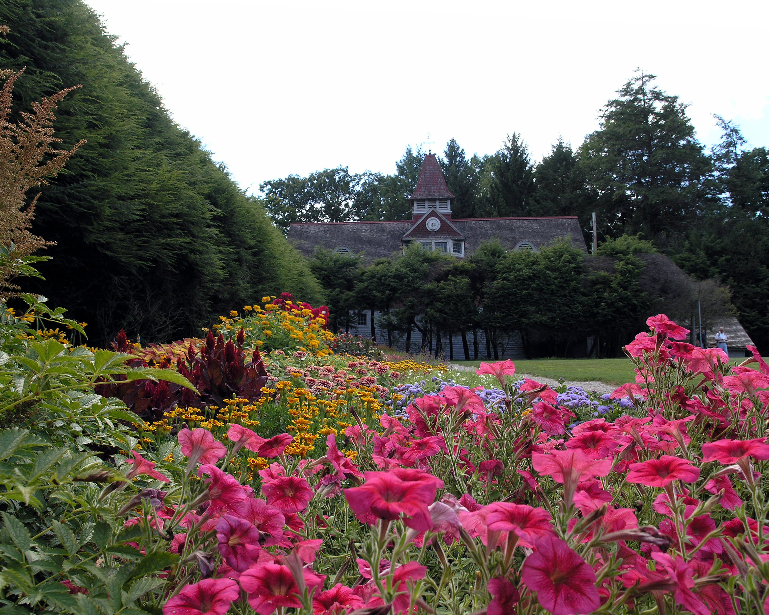 Rose Garden At Fdr National Historic Site Hyde Park Ny
