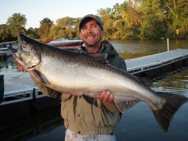 Oak orchard tackle Clearance