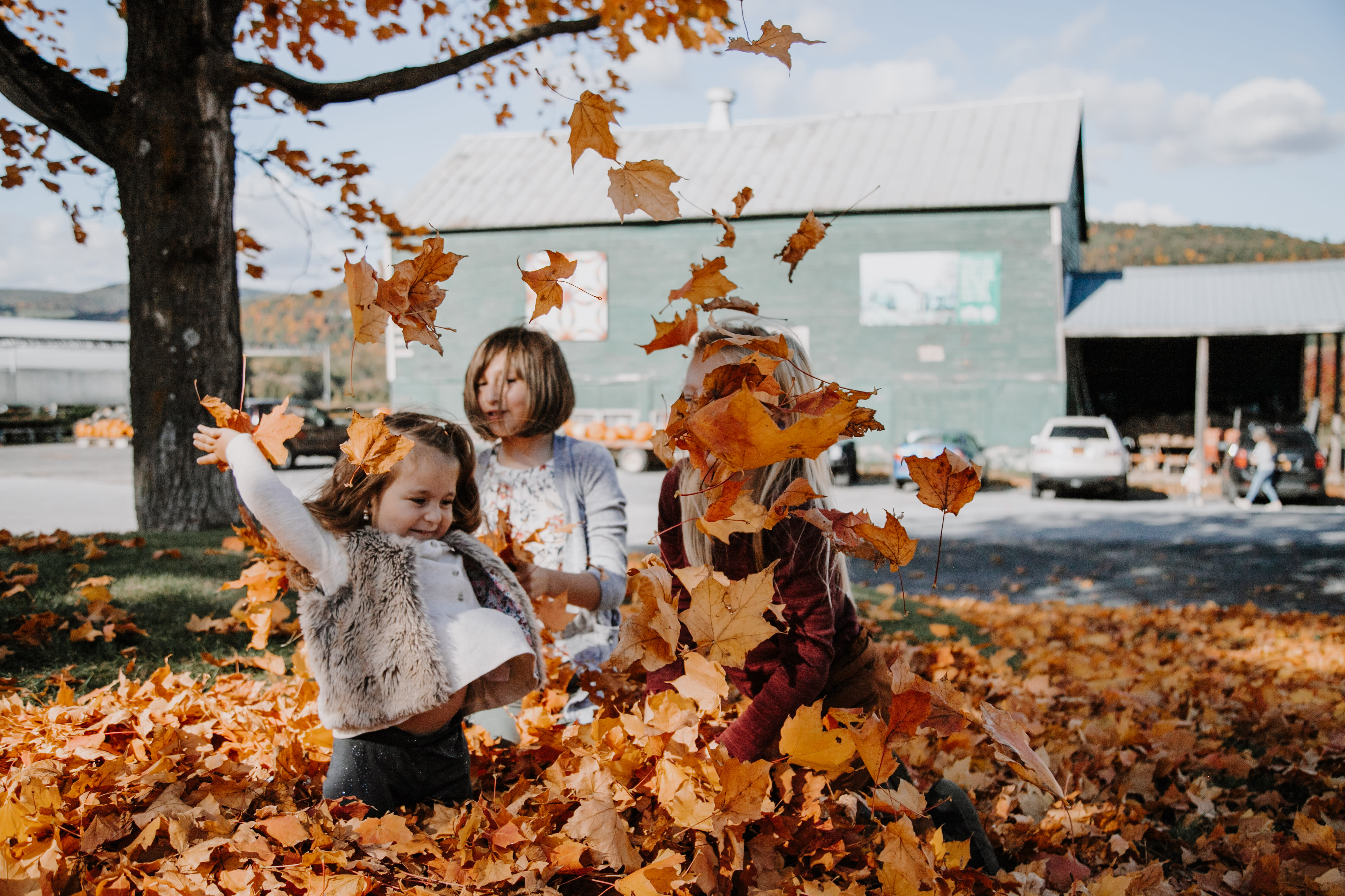 Schoharie Valley Farms Schoharie, NY 12157