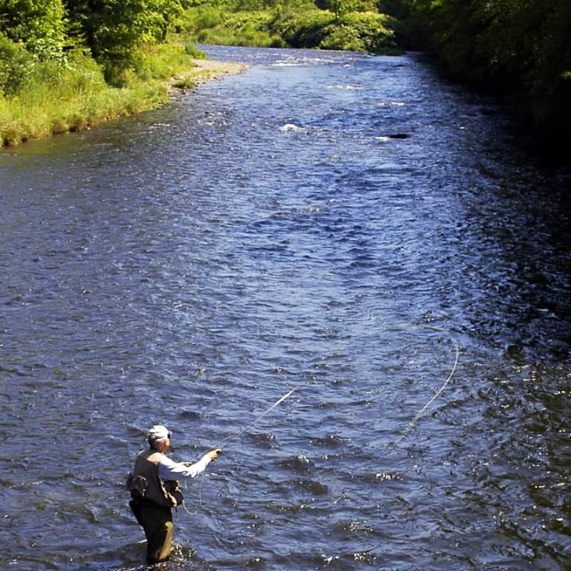 Catskill Fly Fishing Center & Museum Livingston Manor, NY 12758