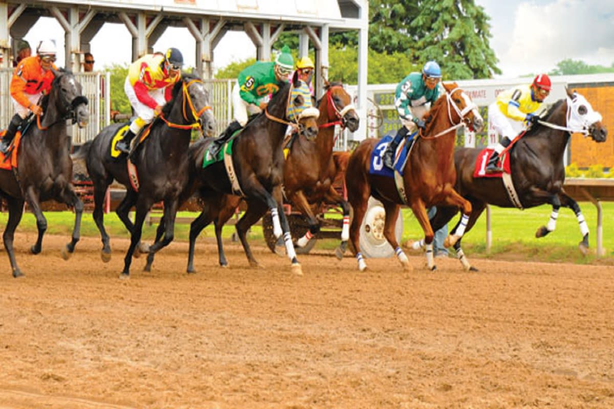 Finger Lakes Gaming and Racetrack Farmington, NY 144250250