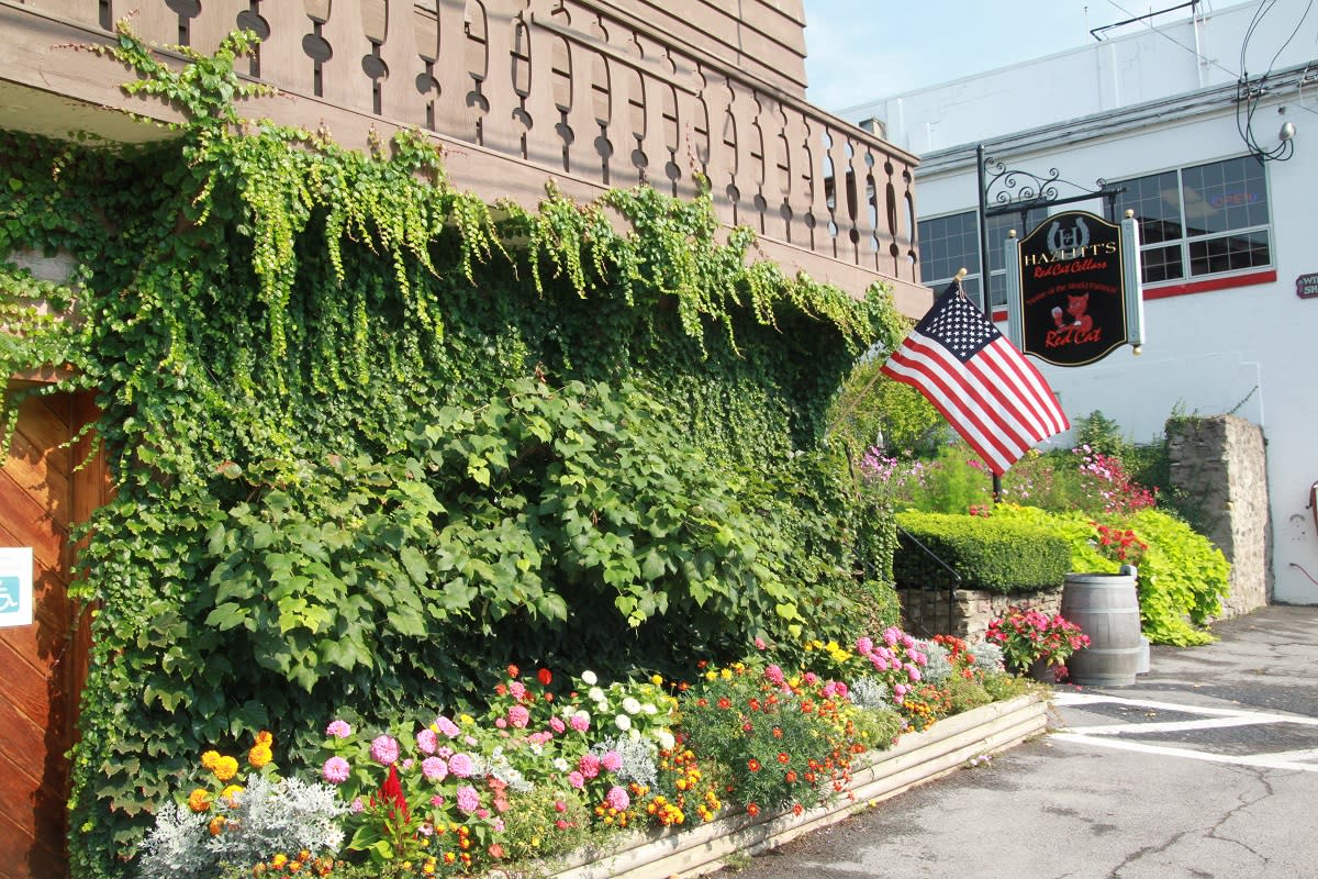 Hazlitt's Red Cat Cellars Naples, NY 14512
