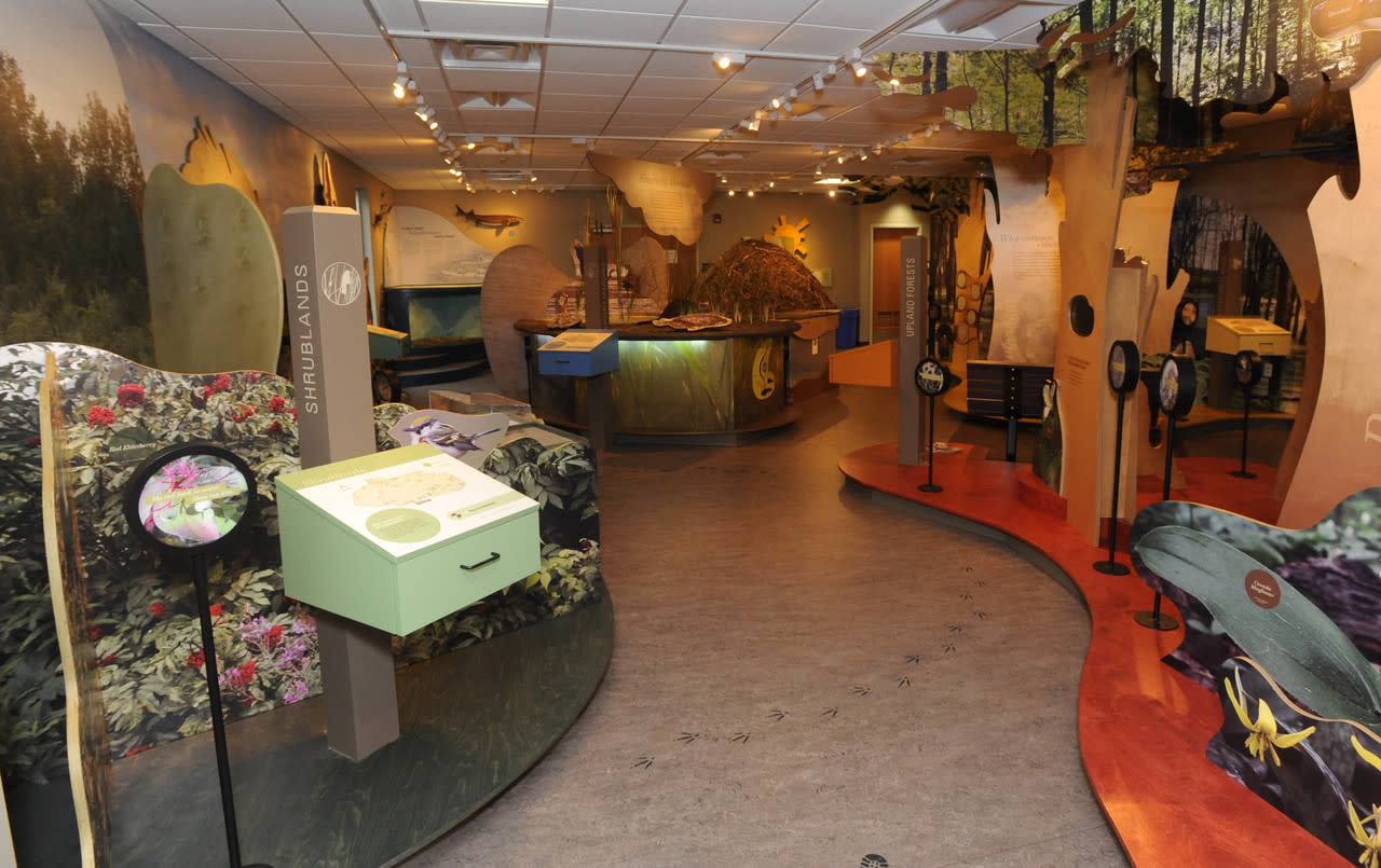 Iroquois National Wildlife Refuge Basom, NY 14013