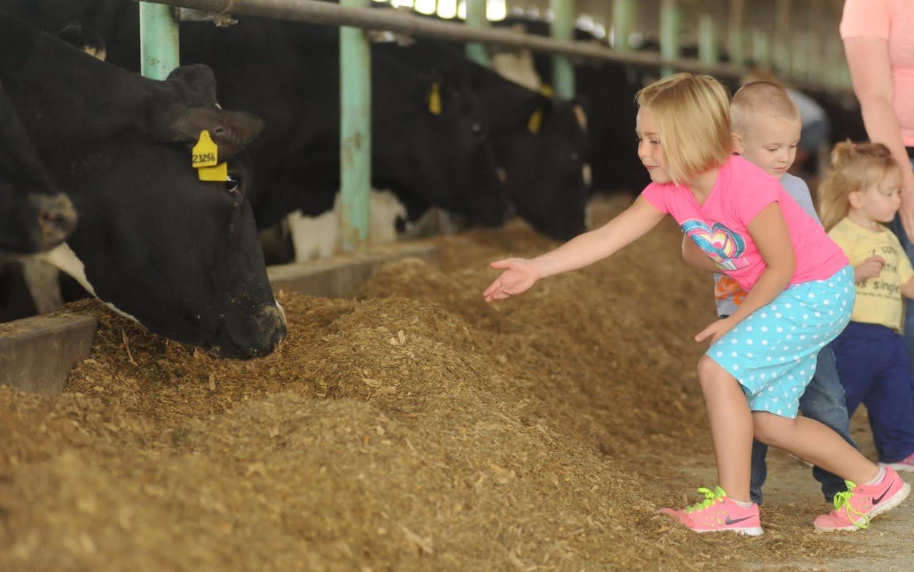 Lamb Farms, Inc. Oakfield, NY 14125