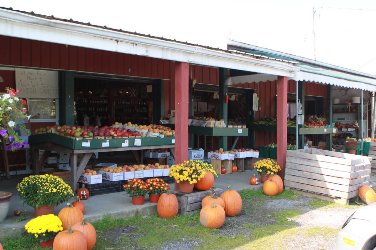 White's Farm Market | Bloomfield, NY 14469
