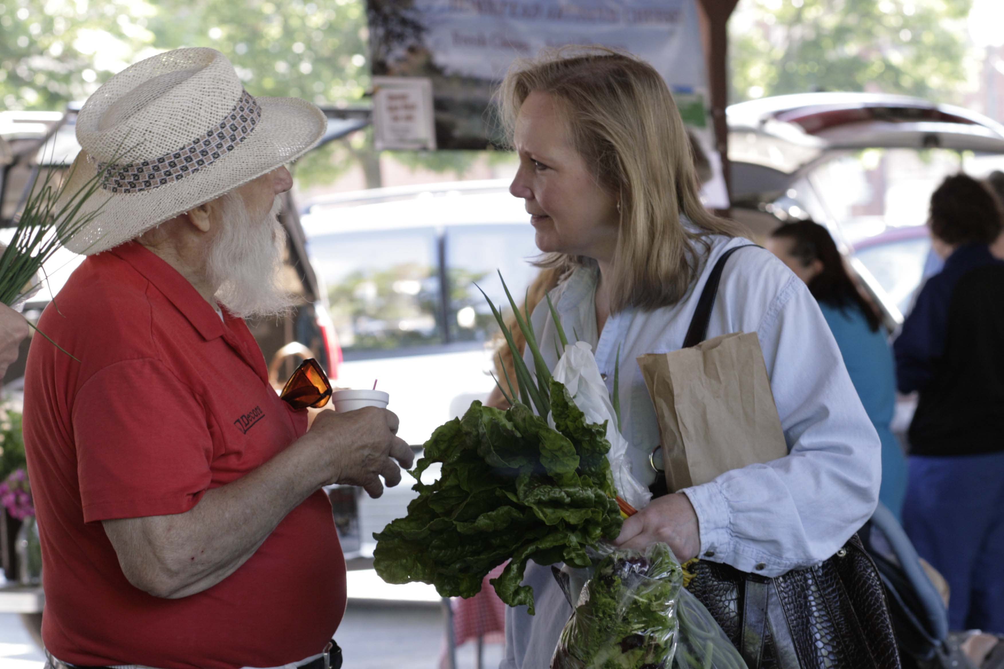 Glens Falls Farmers Market Glens Falls Ny 12801