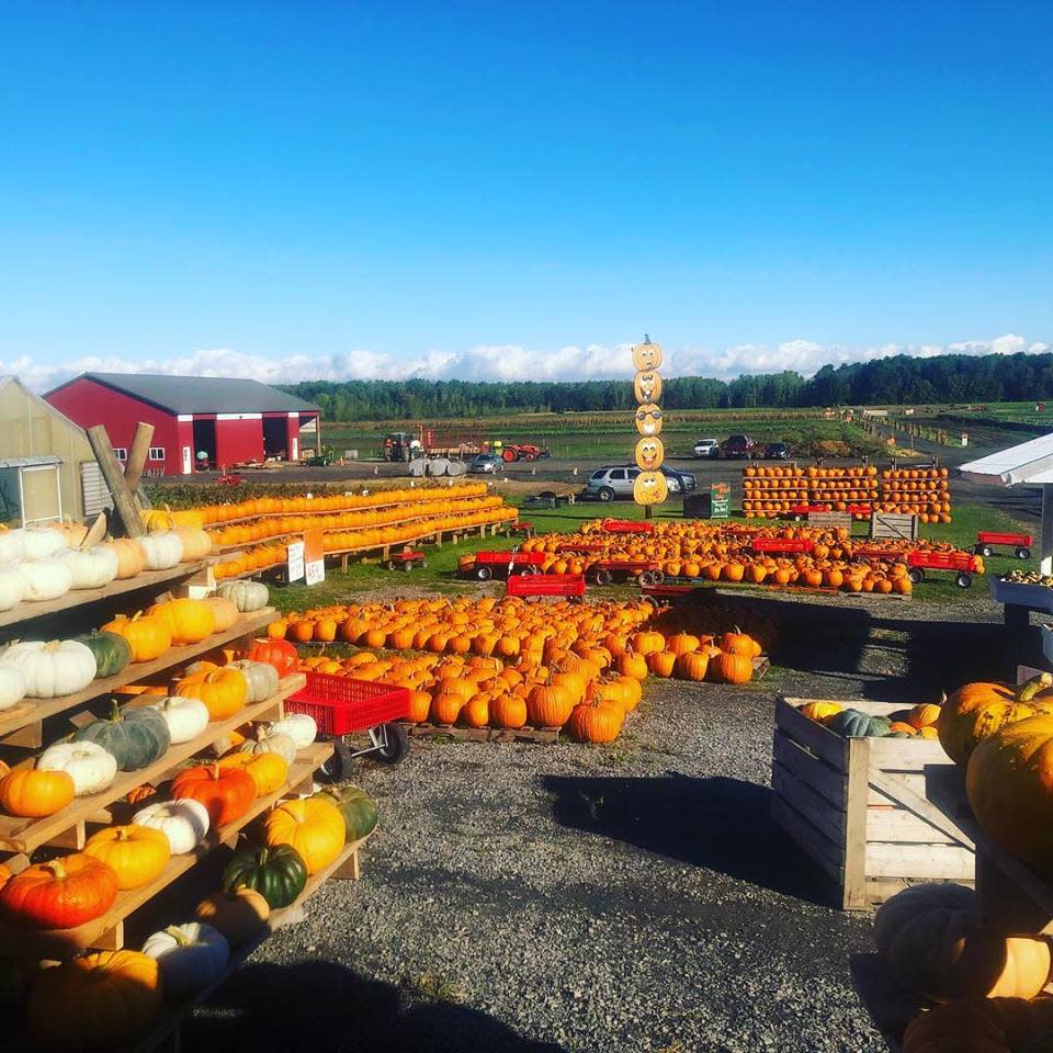 Greg's UPick Farm Clarence Center, NY 14032