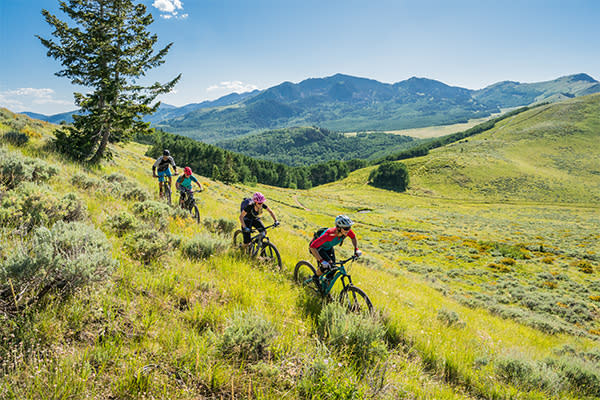Tesco mtb hot sale