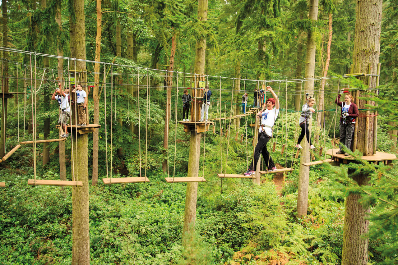 Go Ape Treetop Adventure Treetop Journey Raleigh Nc