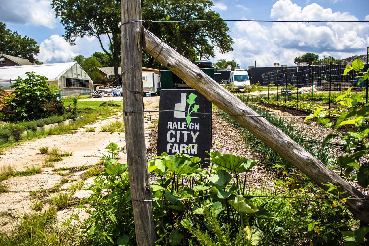 Raleigh City Farm Raleigh, NC 27604
