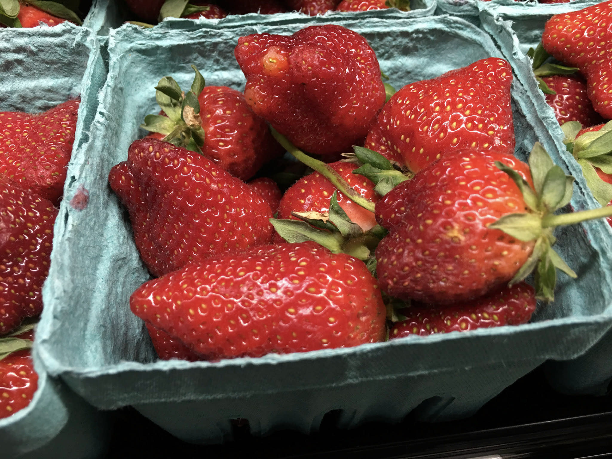 Pope S Strawberry Farm Knightdale Nc